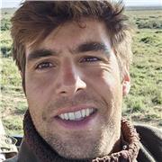 Ingeniero Industrial con más de 5 años de experiencia y vocación para la enseñanza